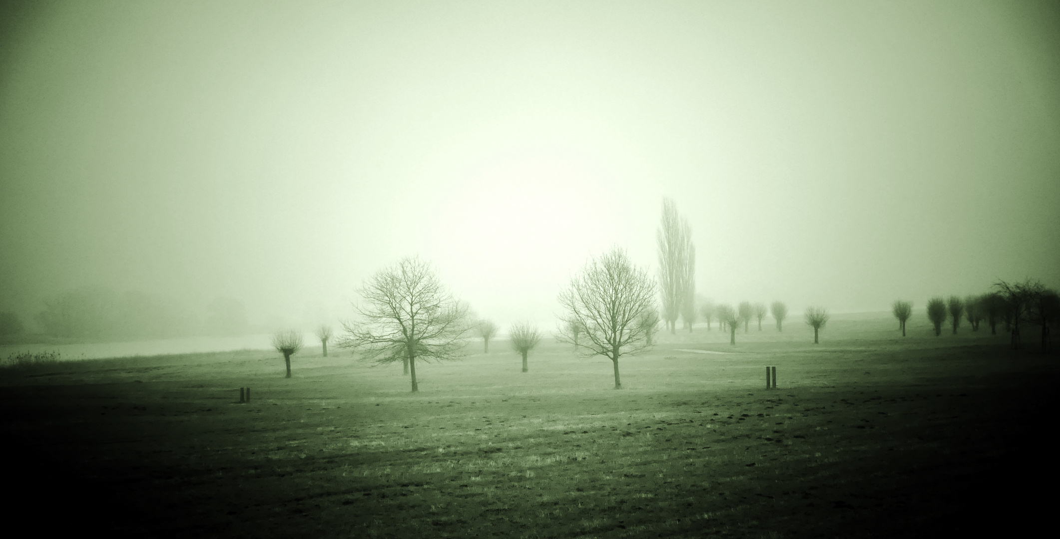 Nebel...