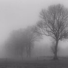 nebel 2