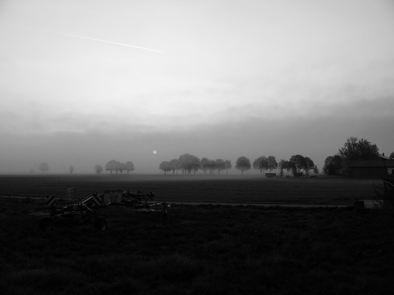 nebel 2