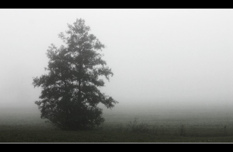 °Nebel #2°