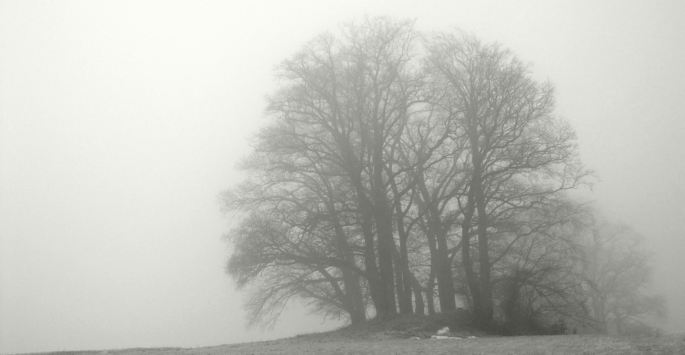[Nebel (2)]