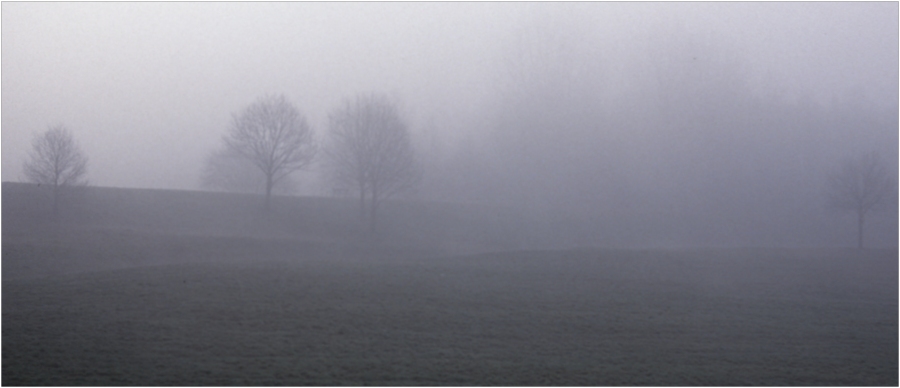 Nebel 2