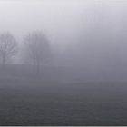 Nebel 2