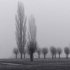 Nebel (2)