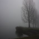 Nebel 2