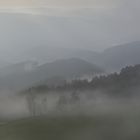 Nebel (2017_11_01_EOS 6D_7083_ji)