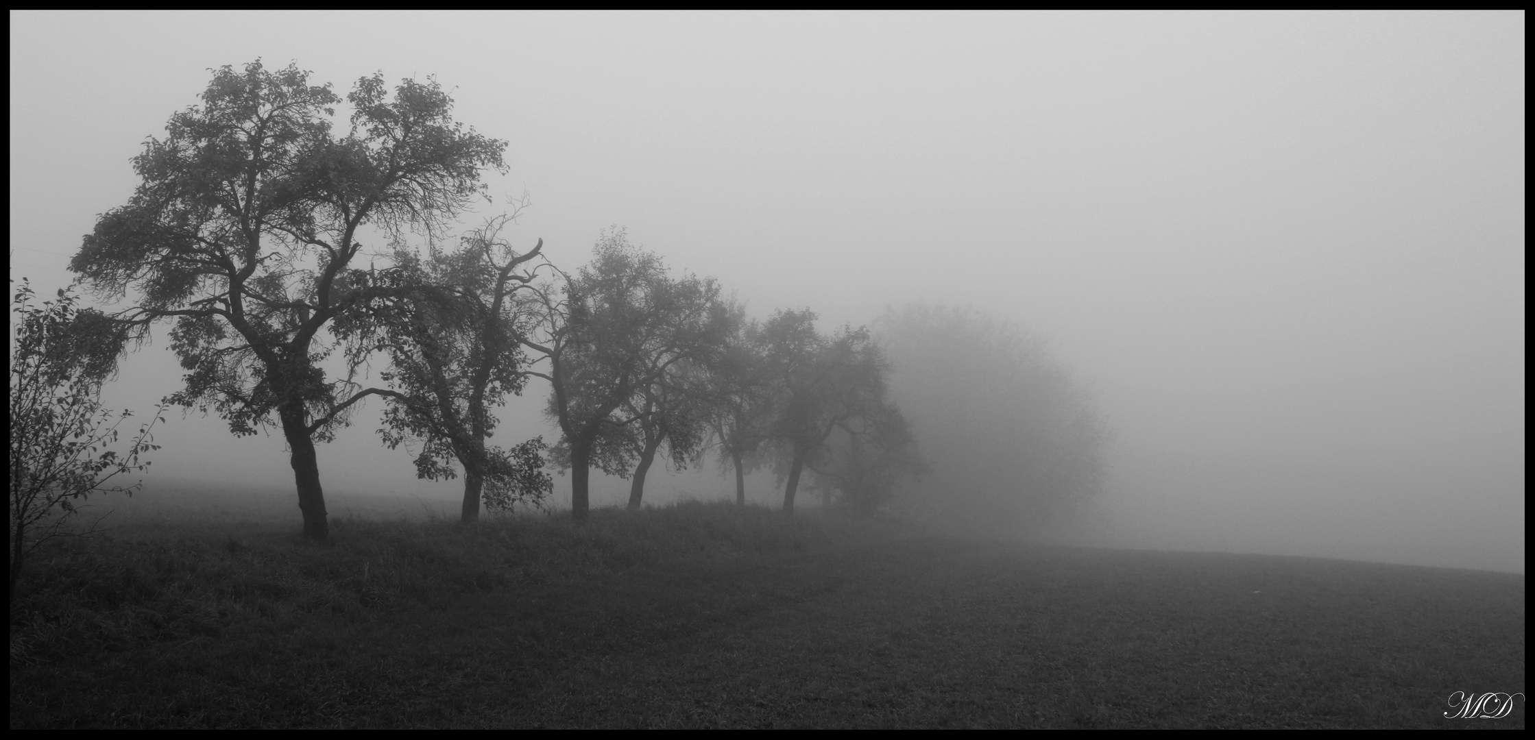 Nebel