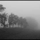 Nebel