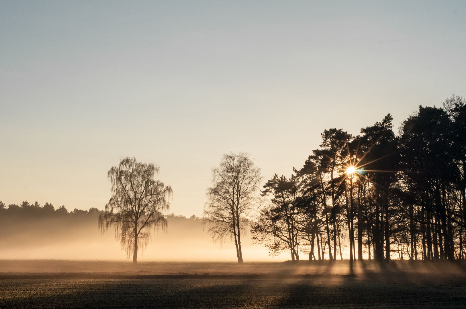 Nebel