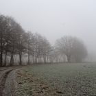 Nebel