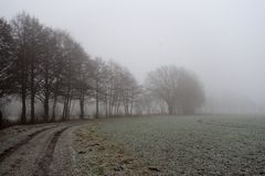 Nebel