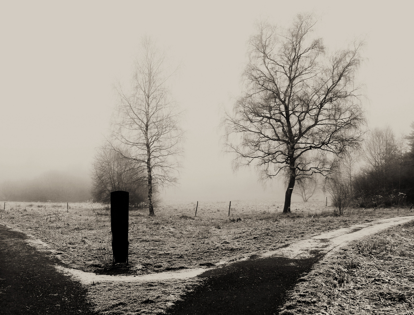 Nebel 28