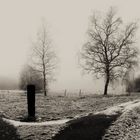 Nebel 28