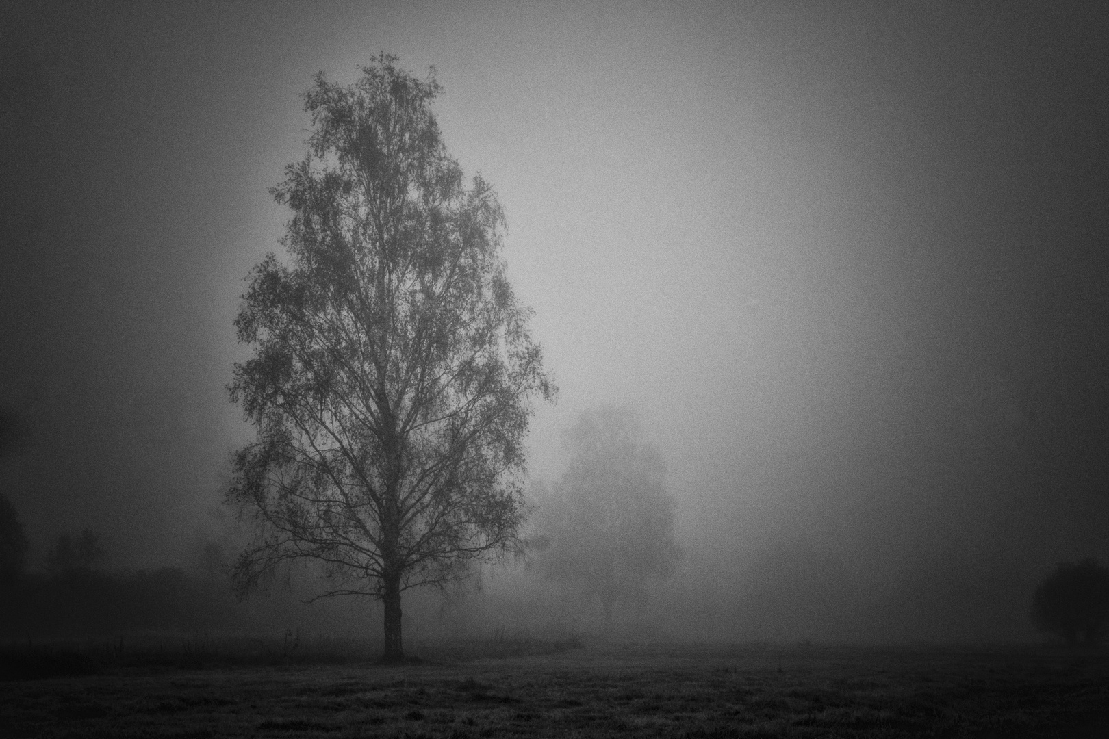 Nebel