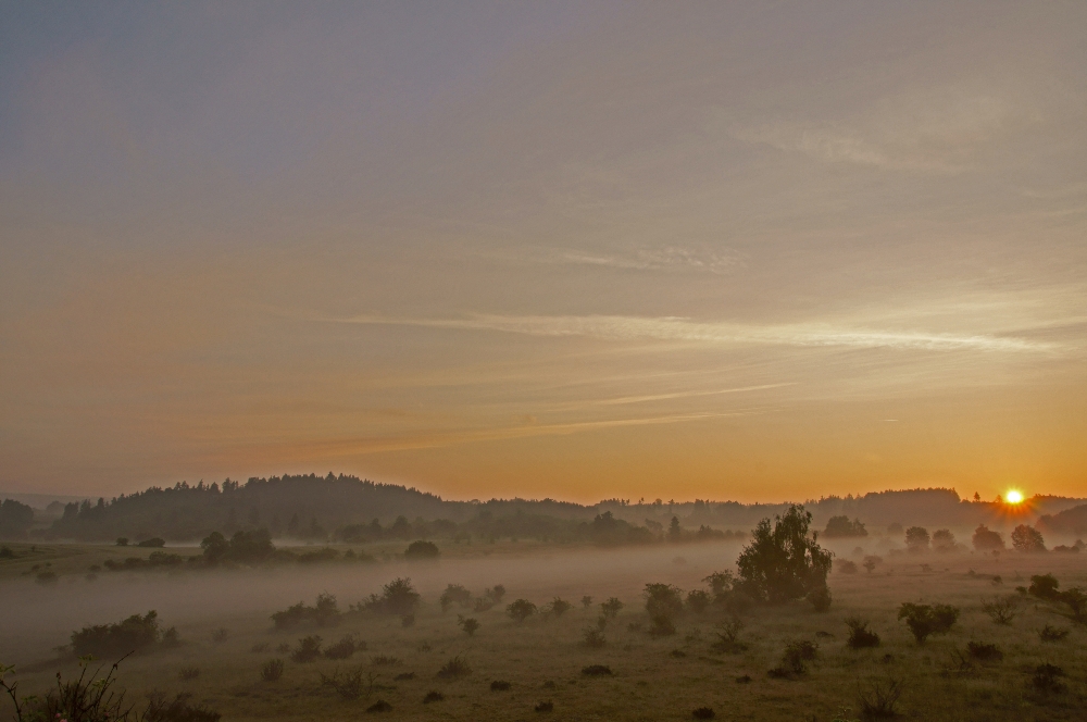 Nebel