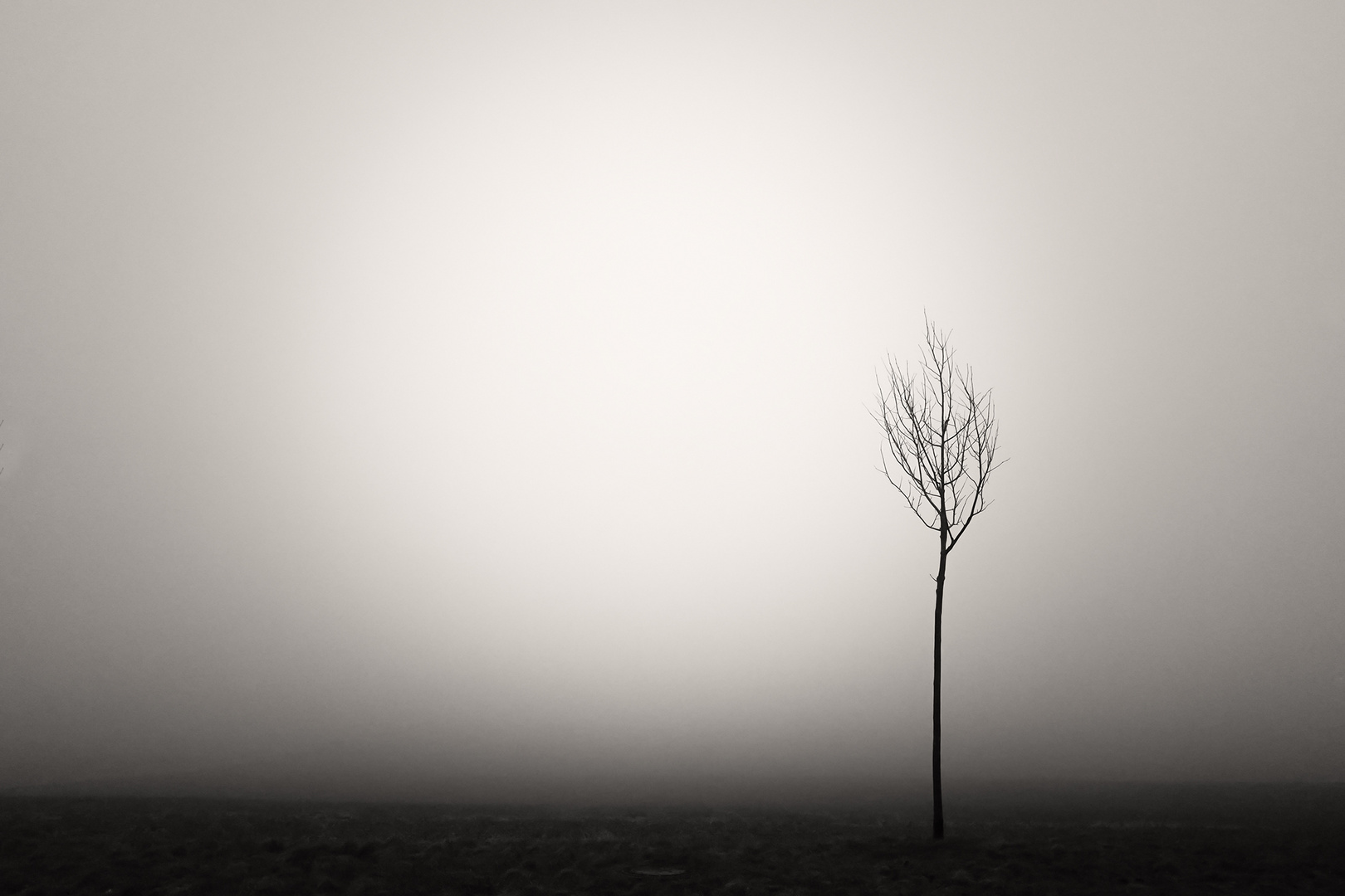 Nebel