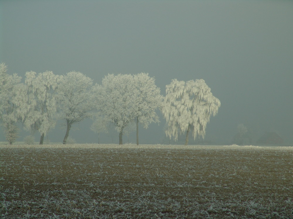 Nebel