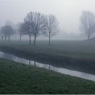 Nebel 3