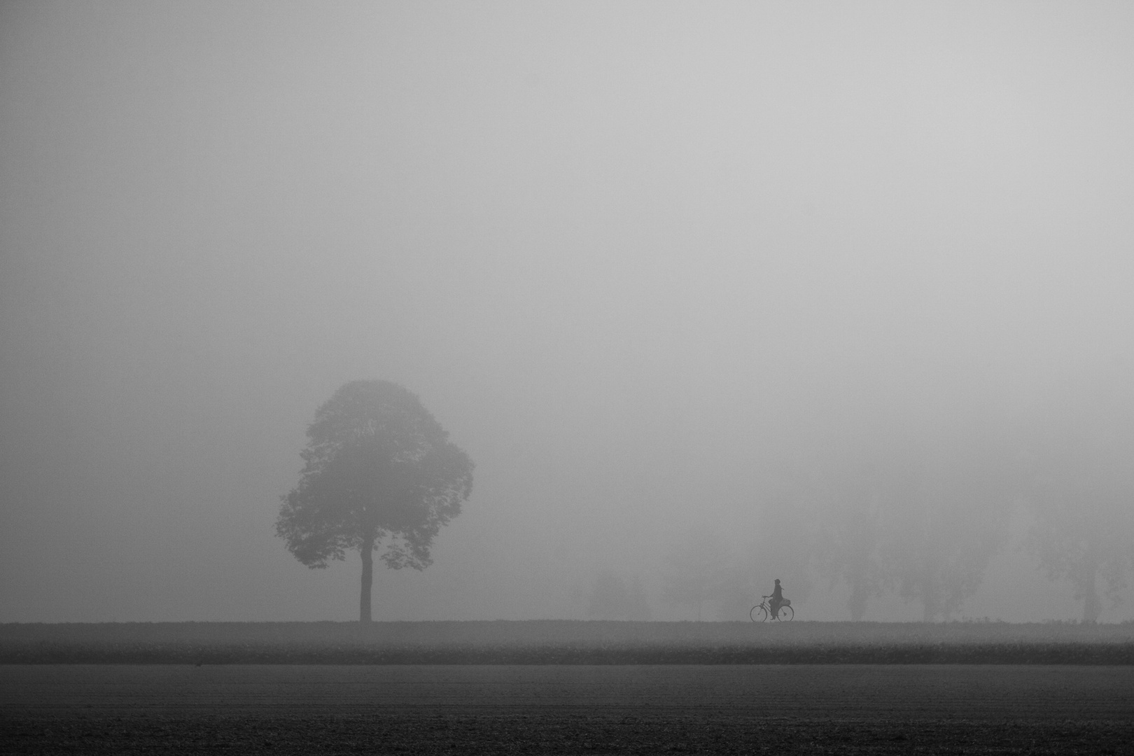 Nebel #3