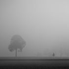 Nebel #3