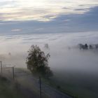 Nebel 3