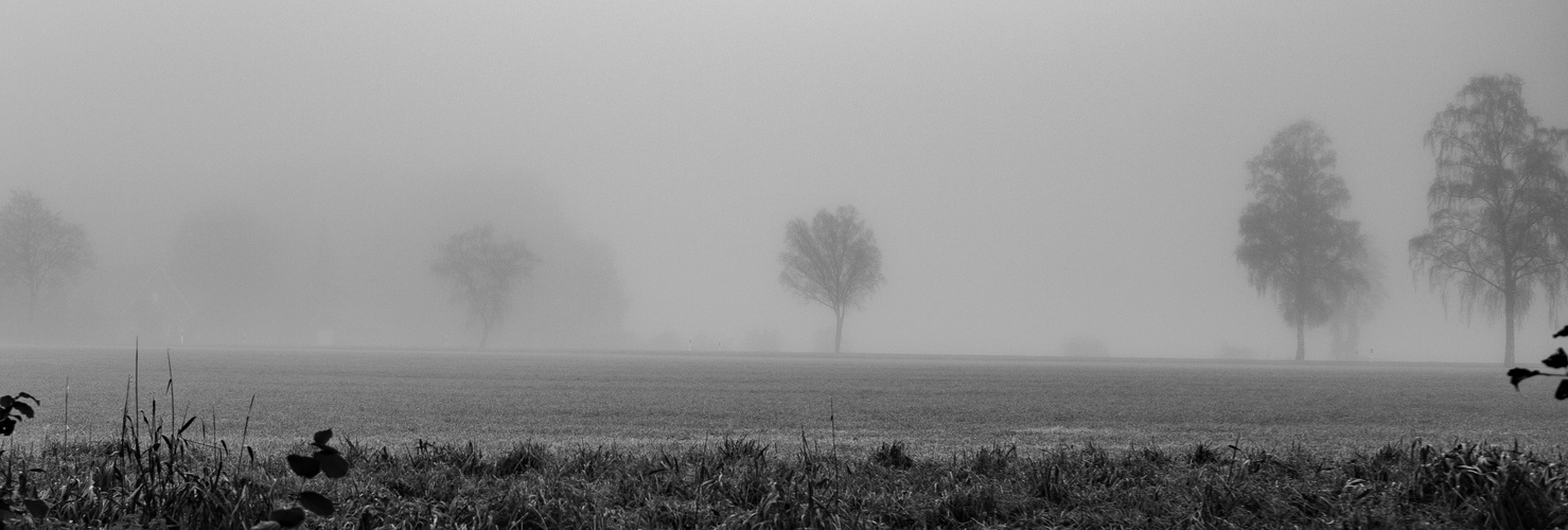 Nebel