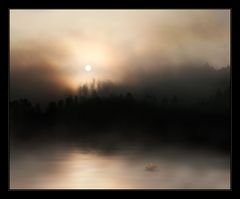 Nebel ...