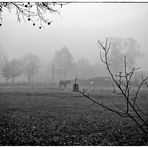 Nebel