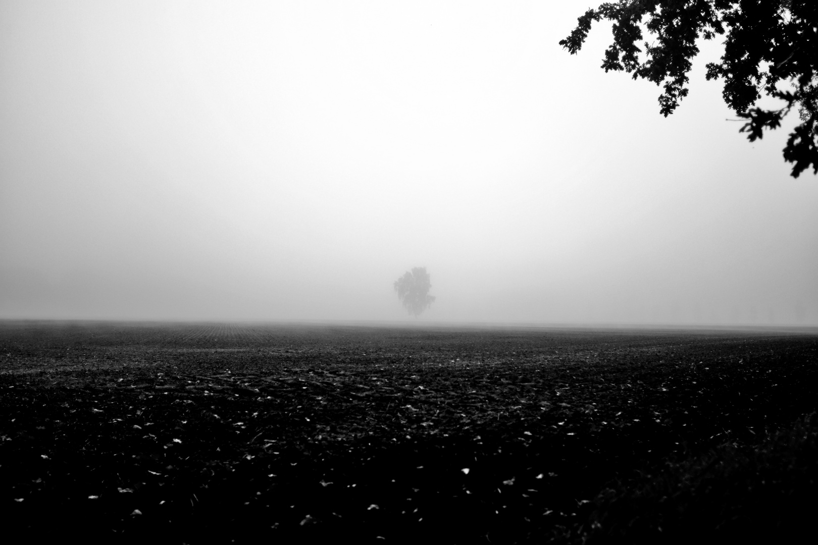 Nebel