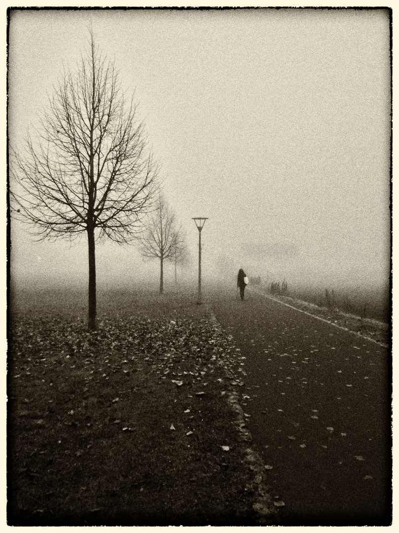 Nebel