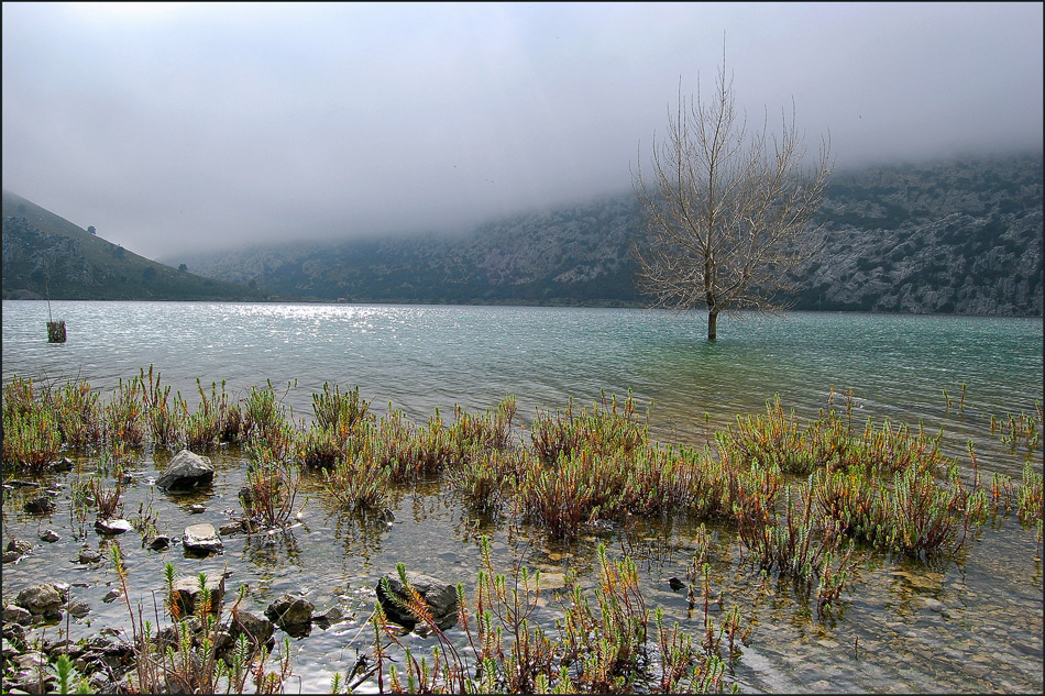 Nebel...