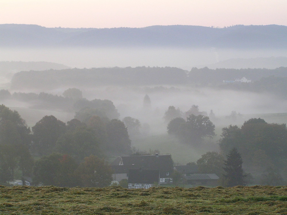 Nebel von blickdicht 