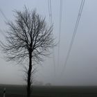 Nebel