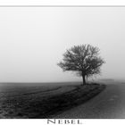 Nebel