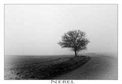 Nebel