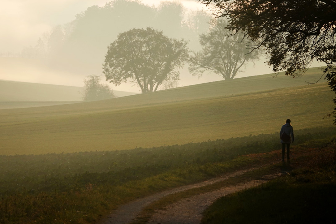 Nebel