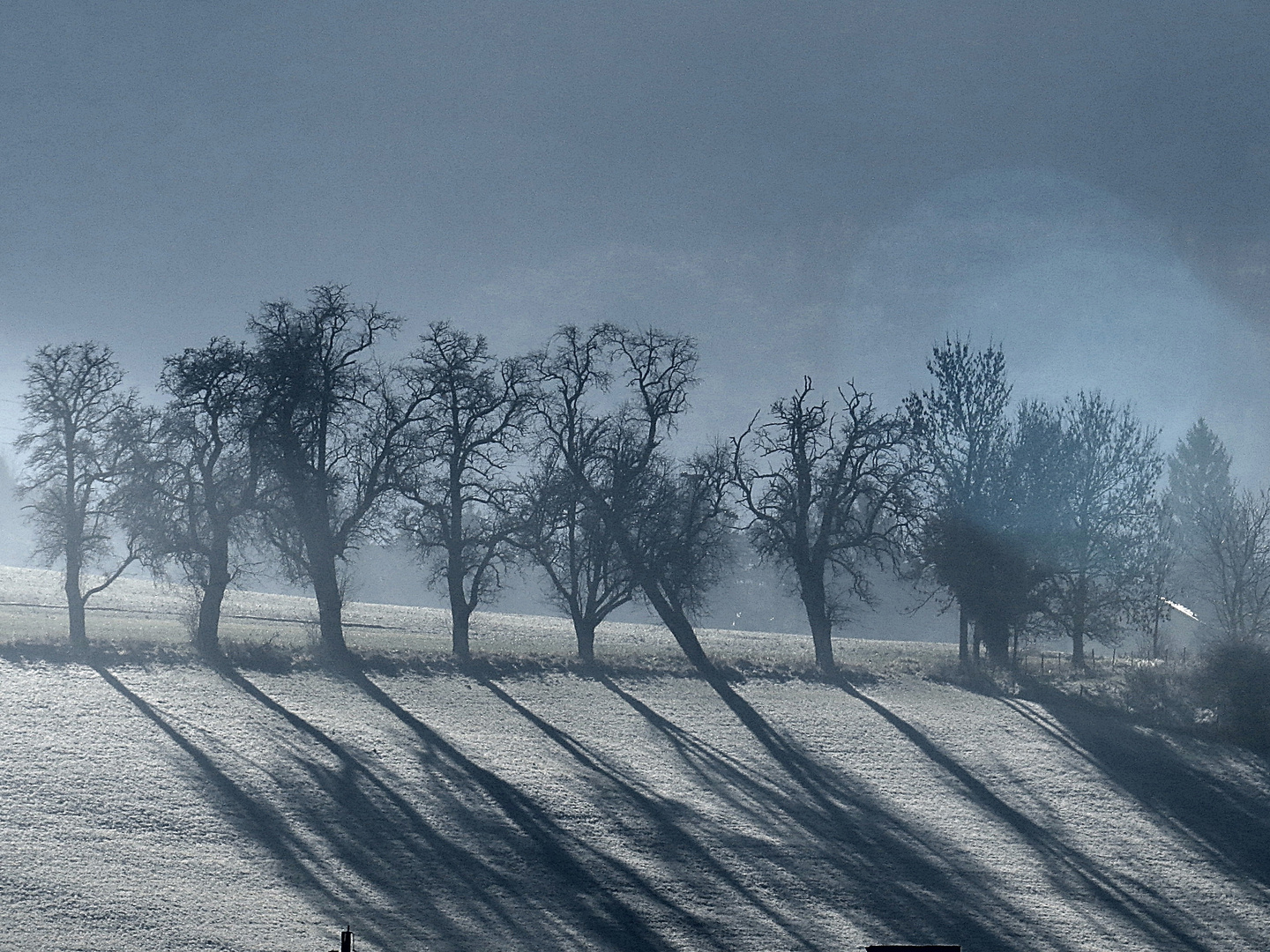 Nebel