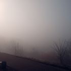 ****Nebel****