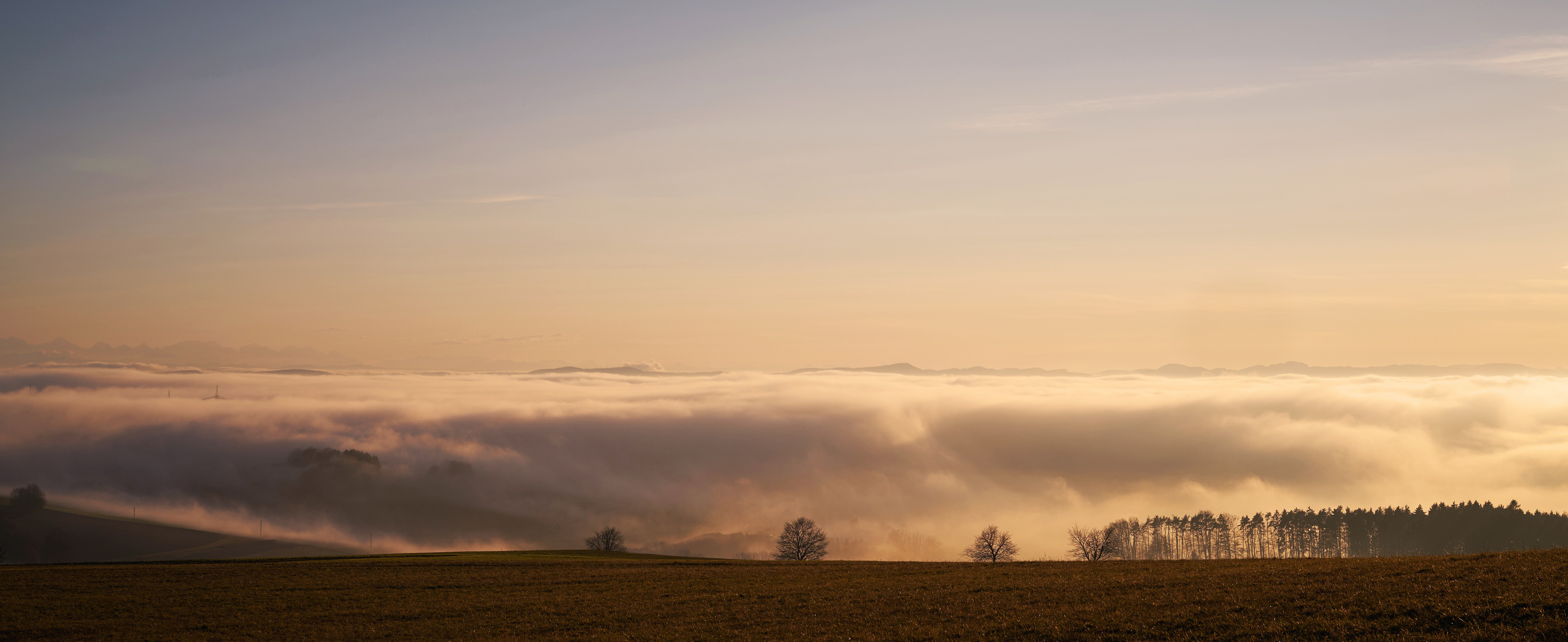 Nebel