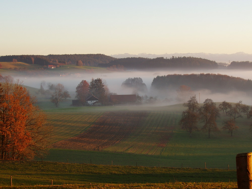 nebel