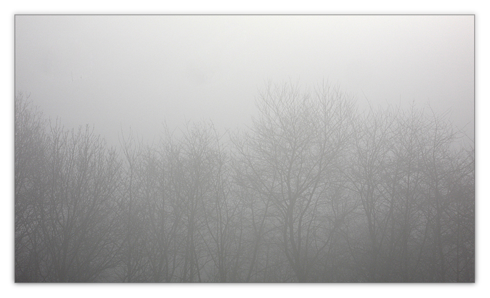 Nebel