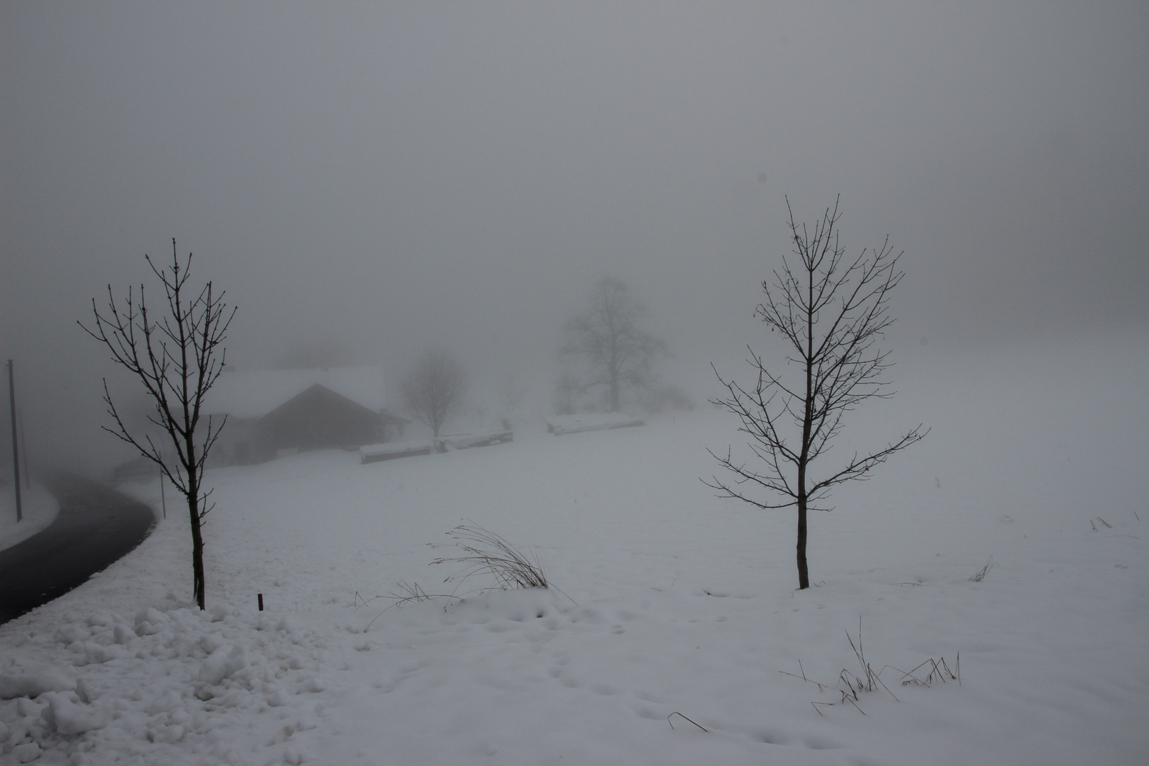 Nebel