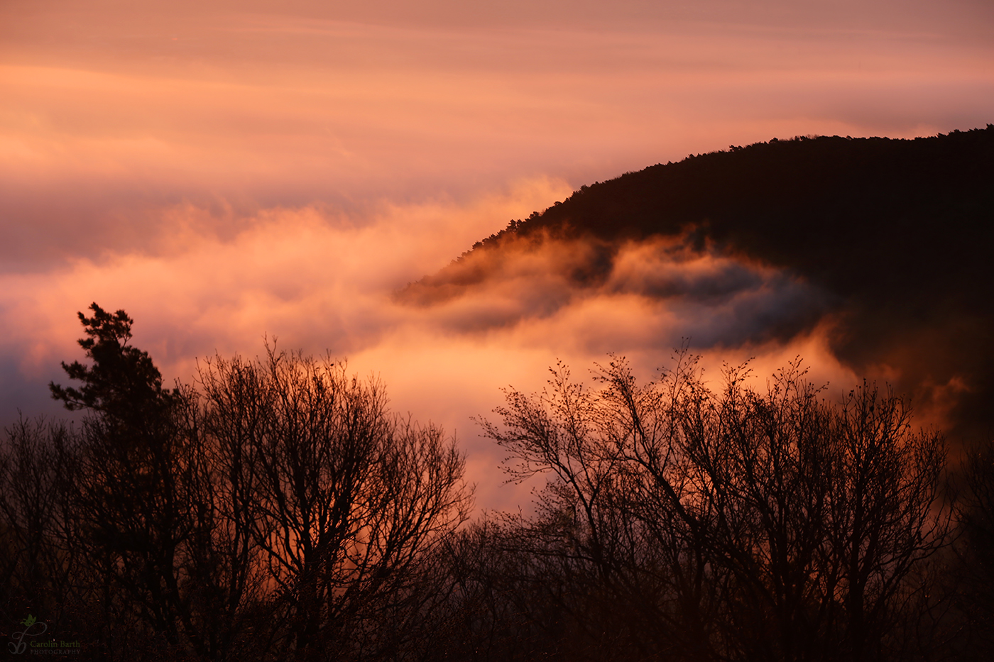 Nebel