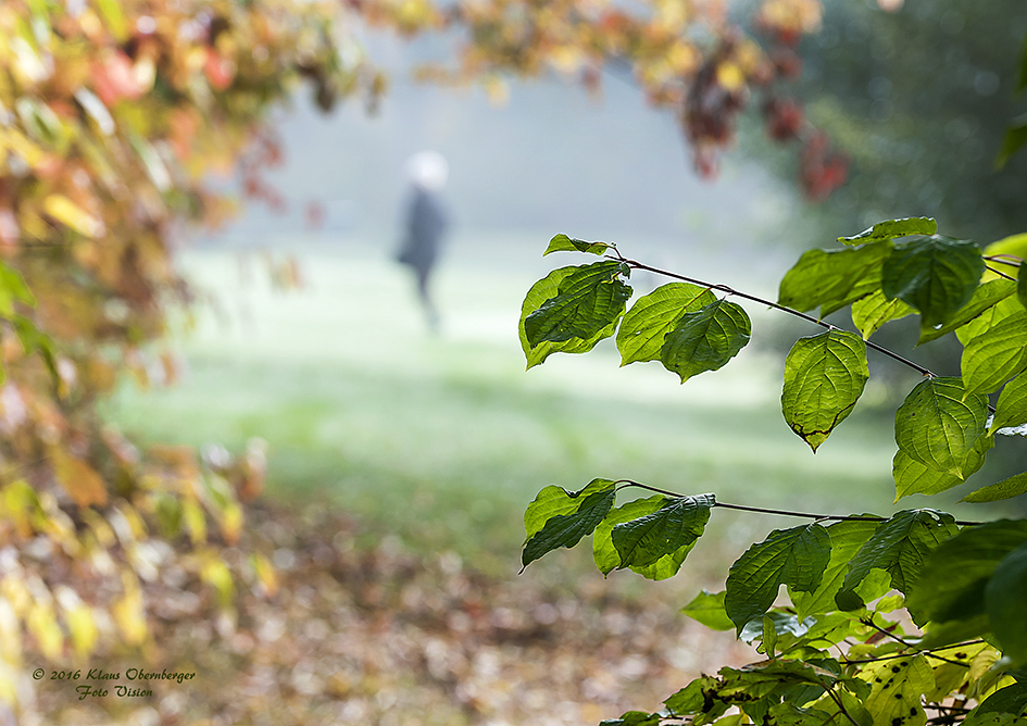 Nebel