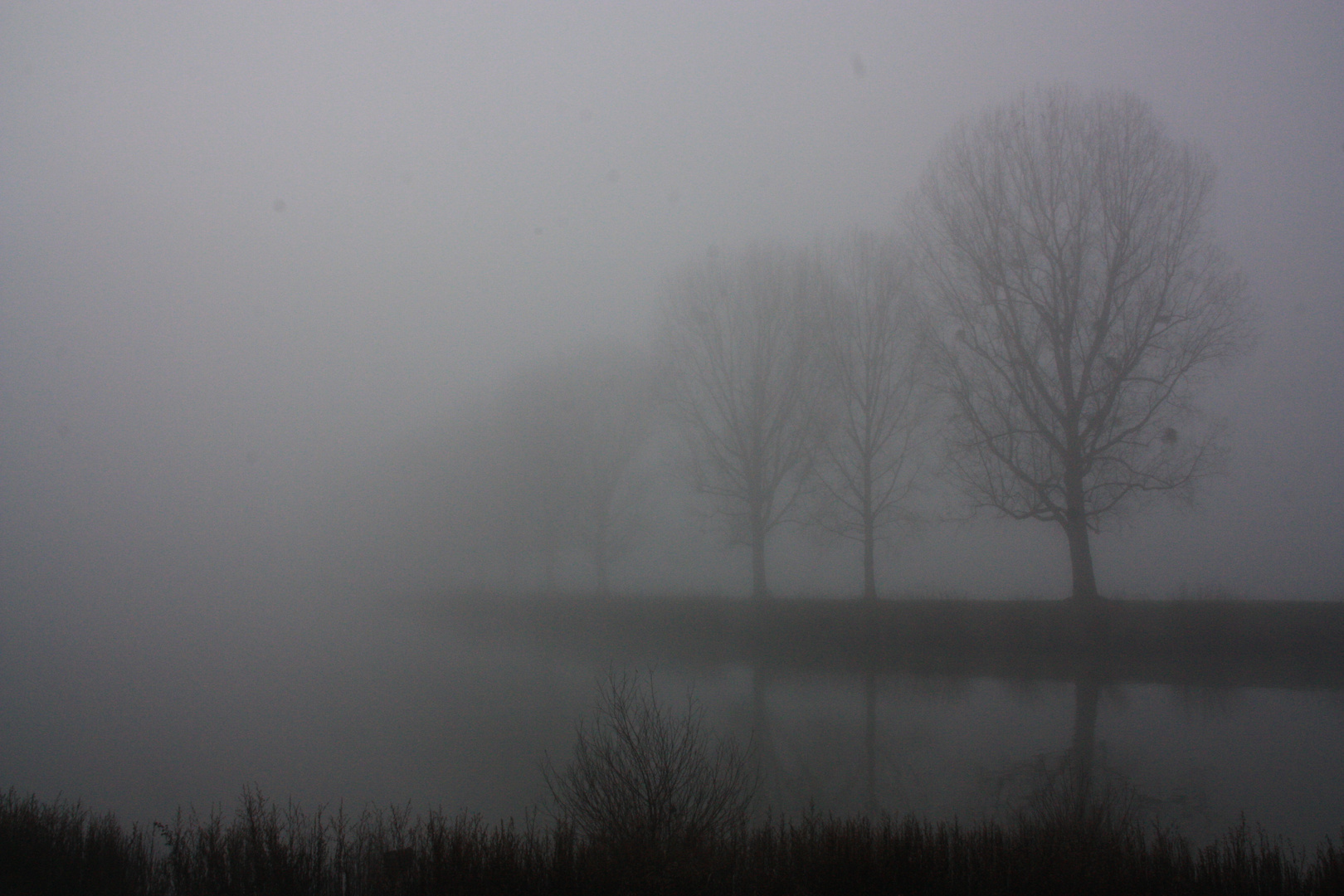 Nebel