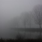 Nebel