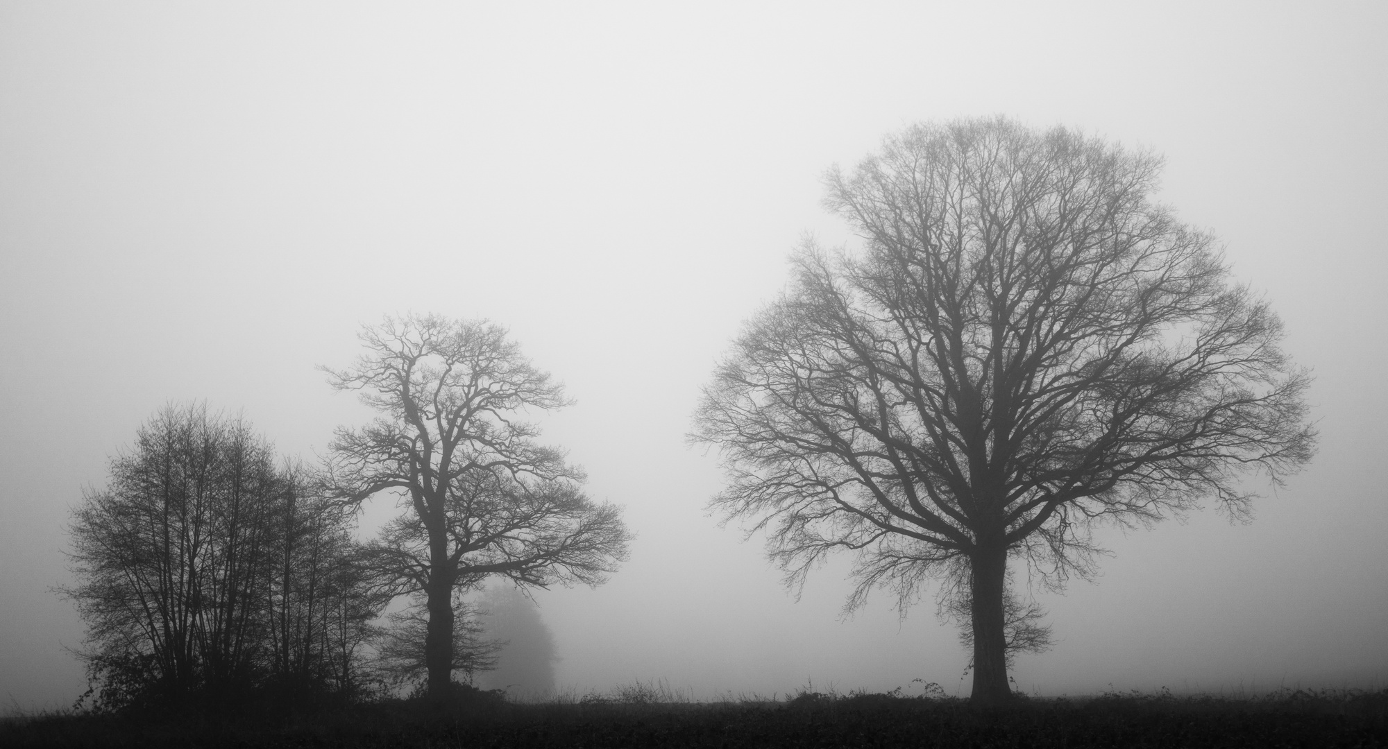 Nebel-