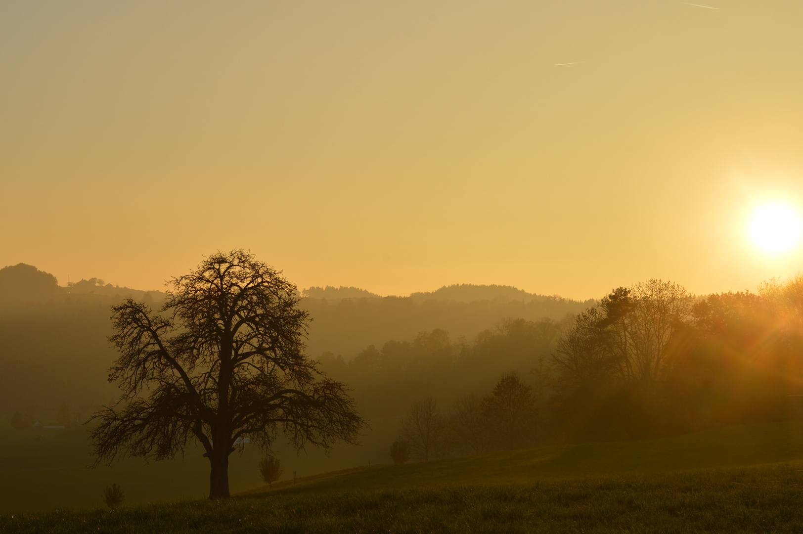 Nebel