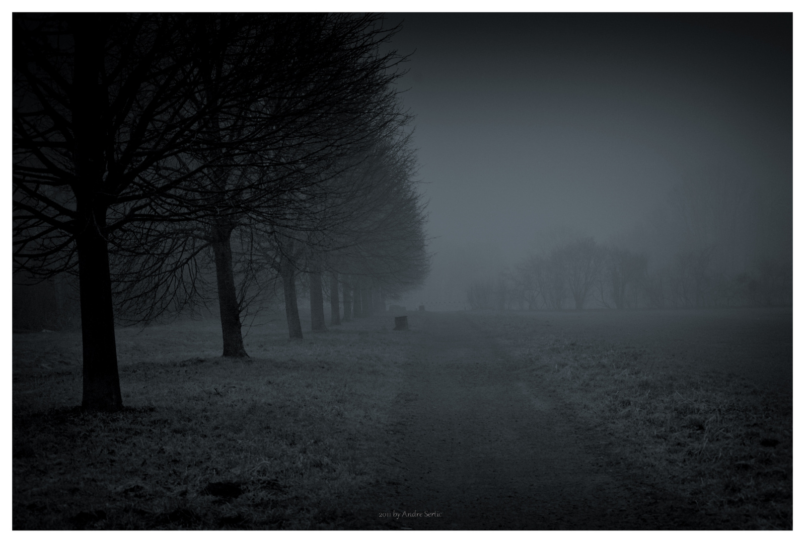 nebel