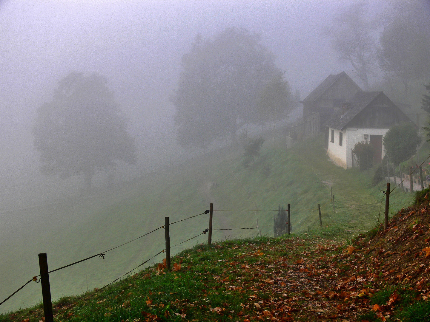 Nebel